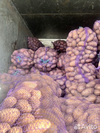Продам картофель