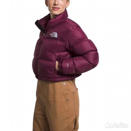 THE north face Nuptse Jacket Women's Plum (S)(44)