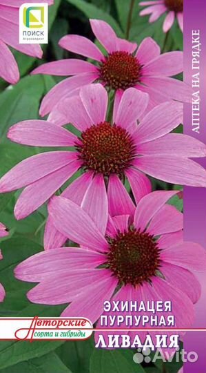 Майоран,Эхинацея, Ромашка семена, набор 3 пачки