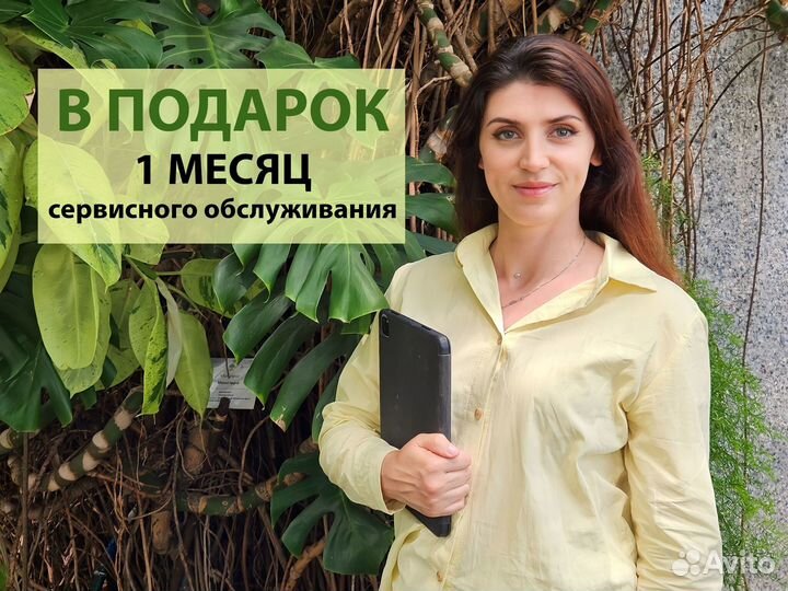 Озеленение офиса / искуственные растения