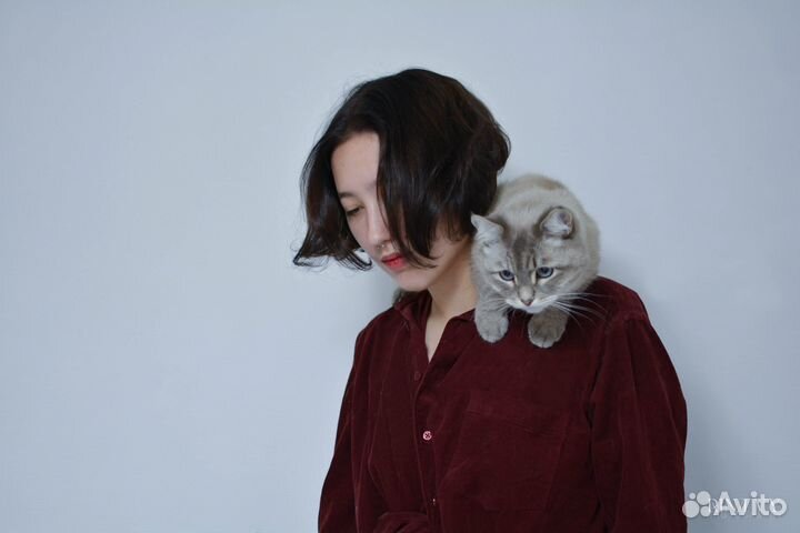 Фотограф анималист