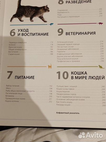 Энциклопедия про кошек