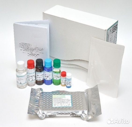 Набор реагентов ифа, сиф-ат Screen, 480 определени