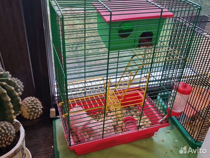Клетка для грызунов