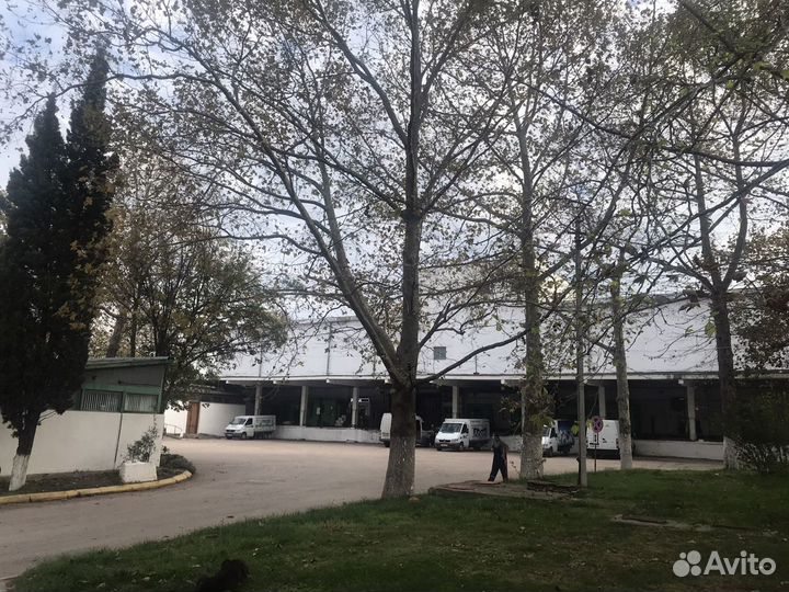 Аренда морозильных камер, сухих складов, офисов