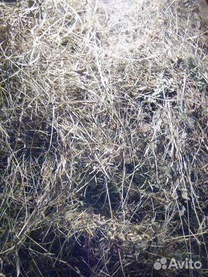 Сено в мешках