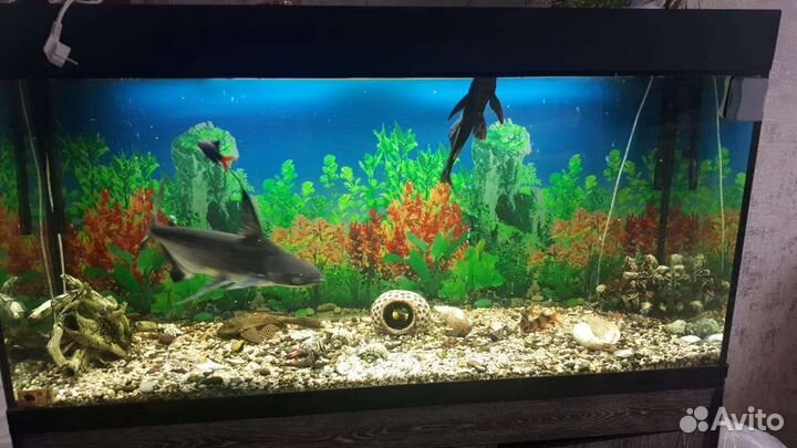Аквариум 500 л с тумбой