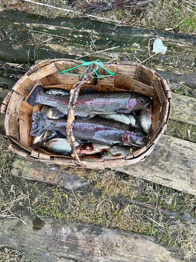 Дом 70 м² на участке 10 сот.