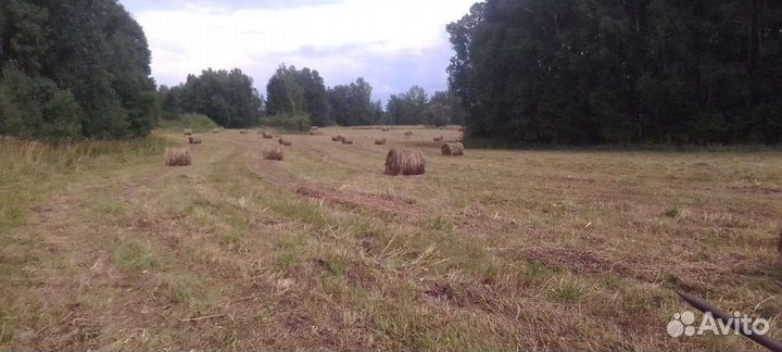 Сено в рулонах