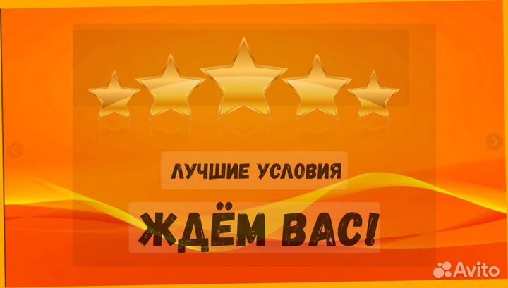 Оператор линии Без опыта Еженедельные выплаты