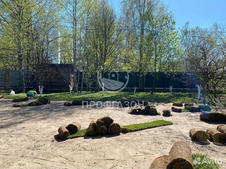 Рулонный газон с Гарантией на приживаемость