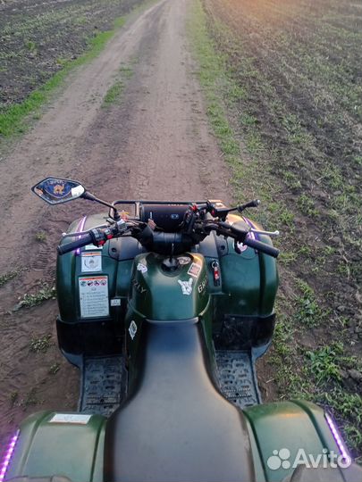 Yamaha grizzly 125