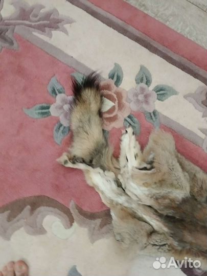 Шкурка волка