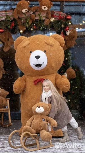 Белый мишка поздравление / ted