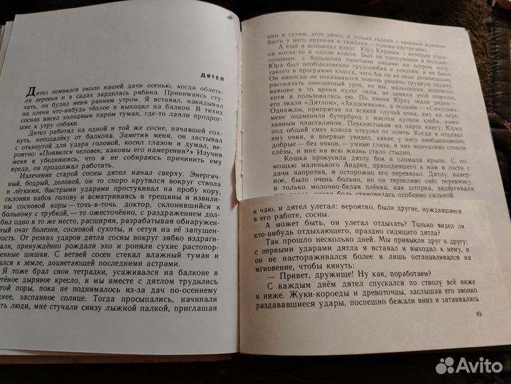 Оттаявший чиж Вадим Чернышев