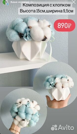 Стабилизированные цветы, мох, сухоцветы, гипс