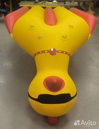 Водный двухрядный банан Утенок