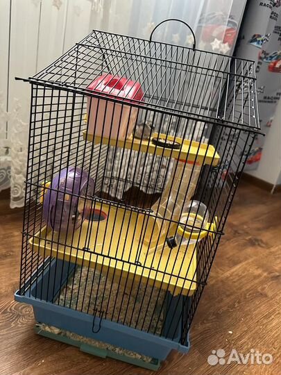 Хомяки с клеткой (полный комплект)