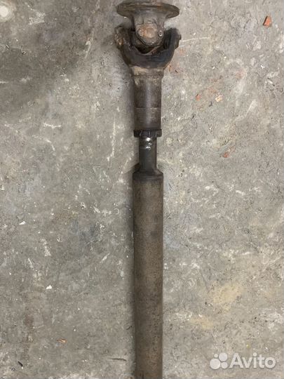 Карлан рено мажор