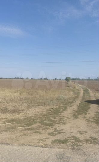 Участок 20 га (СНТ, ДНП)