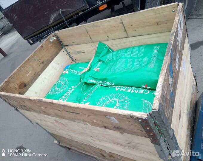 Семена подсолнечника Экселент - (Экспресс)