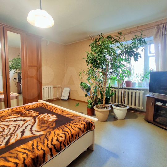 4-к. квартира, 81 м², 4/11 эт.