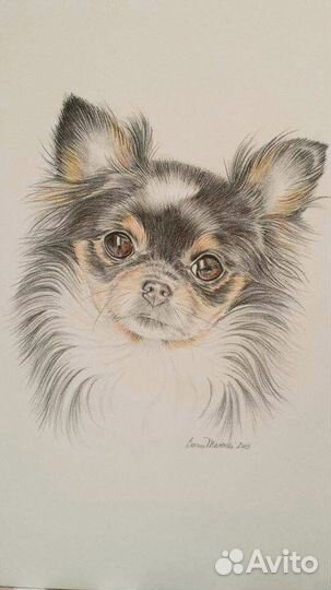 Рисую ваших питомцев