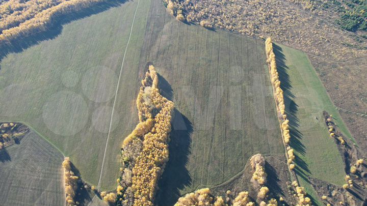 Участок 91,67 га (СНТ, ДНП)