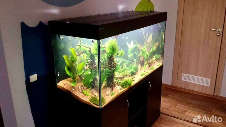 Обслуживание и чистка аквариумов