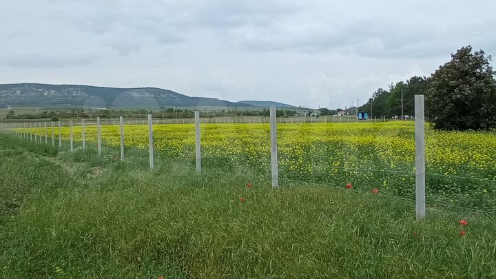 Участок 79 сот. (СНТ, ДНП)