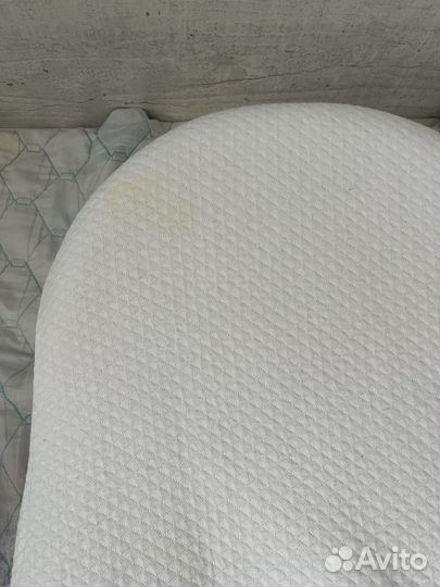 Кокон зевушка