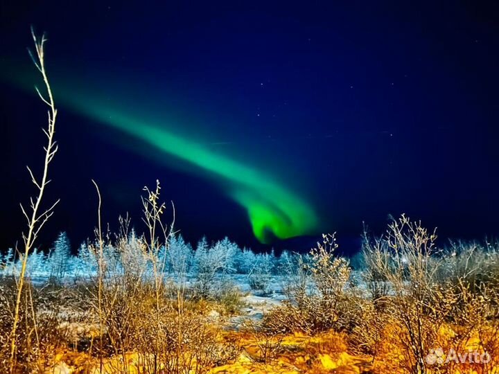 В поисках Северного сияния. Тур в Мурманск, 4 дня