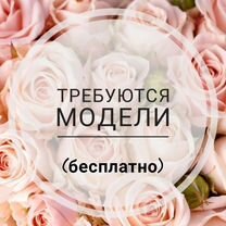 Требуется модель