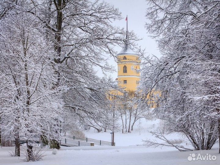 Экскурсия — Санкт-Петербург — Семейная экскурсия-к