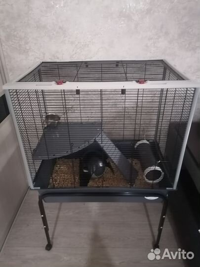 Клетка для грызунов большая ferplast