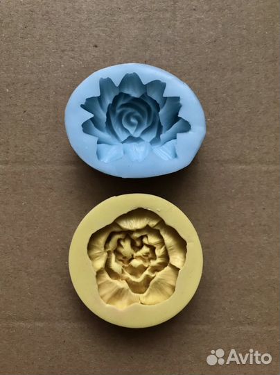 Молды, 13 видов