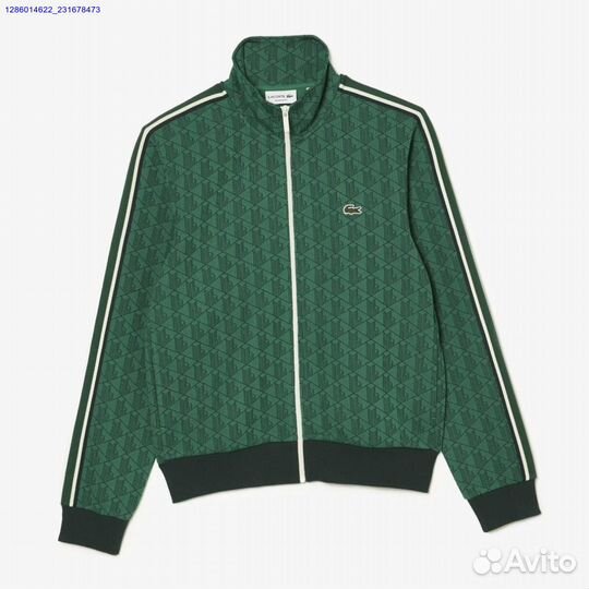 Мужской костюм lacoste (Арт.75783)