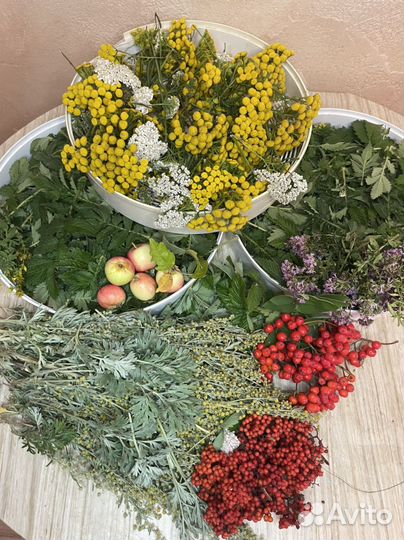 Лекарственные травы для сборов и чаёв