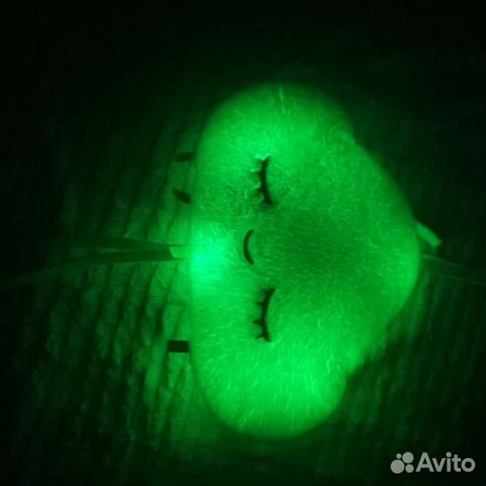 Проектор-облако fisher price