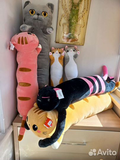 Коты батоны много разные