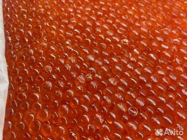 Красная икра лососевых