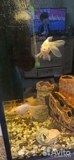 Аквариум с тумбой