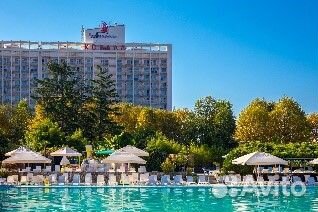 Официант в г. Сочи с проживанием