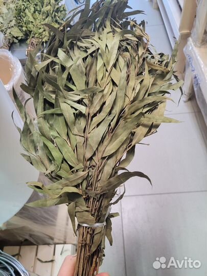 Березовые веники,пихта,дуб,эвкалипт,береза Веники