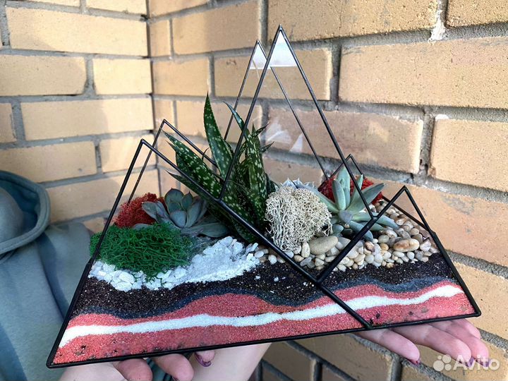 Флорариум, комнатные цветы