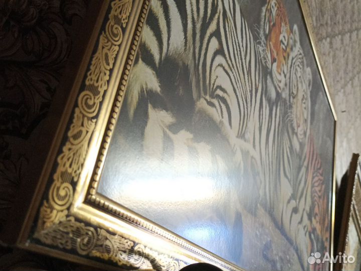 Картина тигры