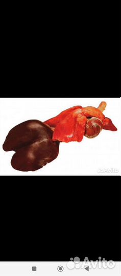 Субпродукты для собак