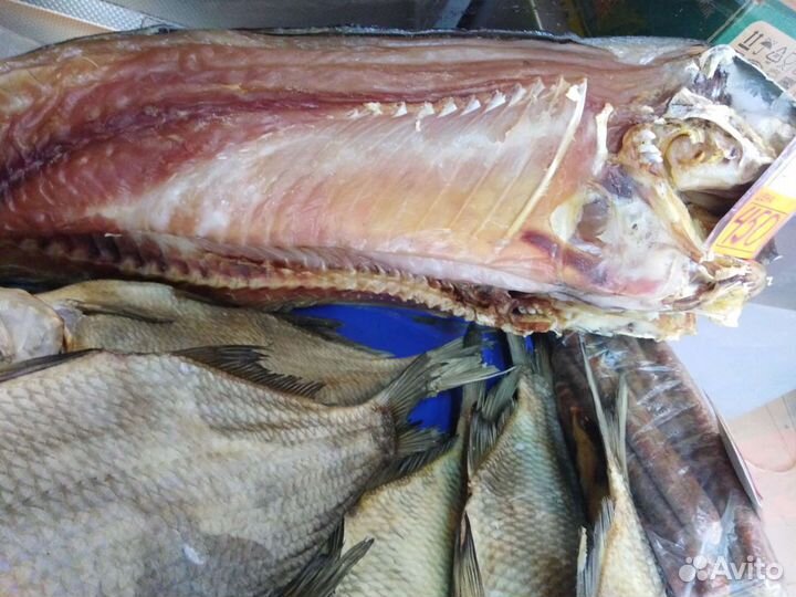 Раки, живые и вареные