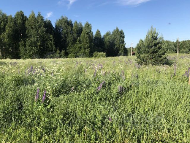 Участок 15 сот. (ИЖС)