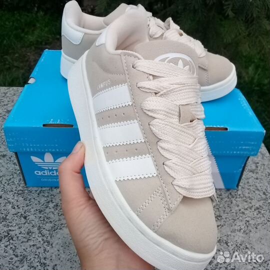 Кроссовки бежевые adidas campus женские